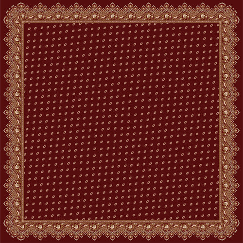 AFNIMY240110130
