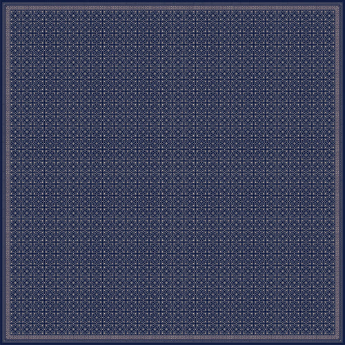 AFNIMY240110036
