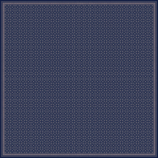 AFNIMY240110036