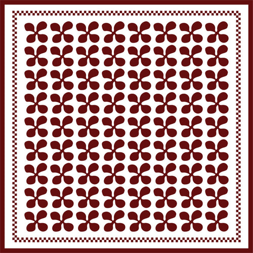 AFNIMY240110139